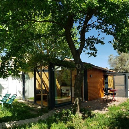 Le Mazet Des Amants, Cabane En Bois Avec Jacuzzi Privatif Avignon Exteriör bild